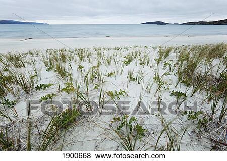 Stock Photo - sandy beach with grass along lake superior; wawa, ontario, canada. Fotosearch