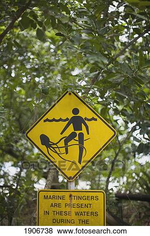 Stock Photo - sign warning about marine stingers; daintree rainforest, queensland, australia. Fotosearch
