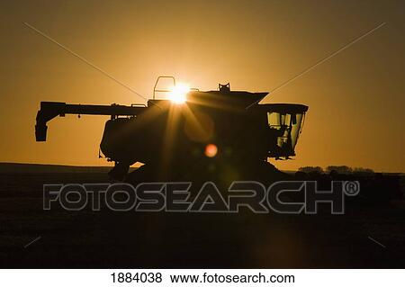 silhouette of a combine with a sunburst at sunrise; alberta, canada View Large Photo Image Stock Photo - silhouette of a combine with a sunburst at sunrise; alberta, canada. Fotosearch