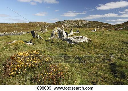 Stock Image - standing stones on sherkin island off the west cork coast in munster region; sherkin island, west cork, ireland. Fotosearch