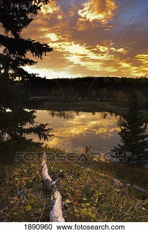 Stock Image - sunrise in autumn; bragg creek, alberta, canada. Fotosearch
