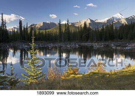 sunrise in autumn in kananaskis; alberta, canada View Large Photo Image Stock Photo - sunrise in autumn in kananaskis; alberta, canada. Fotosearch