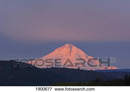 Stock Photo - sunrise over mount hood in columbia river gorge national scenic area; oregon, united states of america. Fotosearch