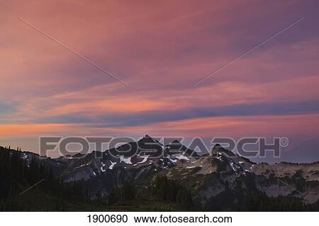 sunrise over tatoosh mountains in paradise park in mt. rainier national park; washington, united states of america View Large Photo Image Stock Image - sunrise over tatoosh mountains in paradise park in mt. rainier national park; washington, united states of america. Fotosearch