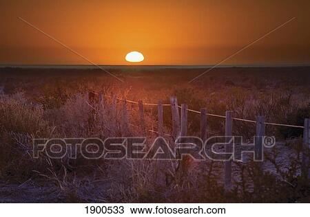 sunrise over the pampa of argentina; san rafael, mendoza, argentina View Large Photo Image Stock Image - sunrise over the pampa of argentina; san rafael, mendoza, argentina. Fotosearch
