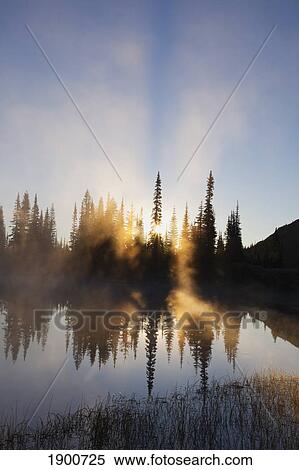 Stock Photography - sunrise reflected in reflection lake in mt. rainier national park; washington, united states of america. Fotosearch