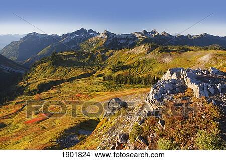 tatoosh mountains in mt. rainier national park in autumn; washington, united states of america View Large Photo Image Picture - tatoosh mountains in mt. rainier national park in autumn; washington, united states of america. Fotosearch