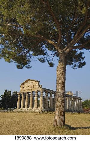 temple of athena; paestum, campania, italy View Large Photo Image Stock Photo - temple of athena; paestum, campania, italy. Fotosearch