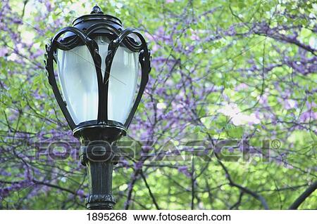 the top of a lamp post with trees in the background; manhattan, new york city, new york, united states of america View Large Photo Image Stock Photo - the top of a lamp post with trees in the background; manhattan, new york city, new york, united states of america. Fotosearch