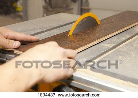 tradesman using a table saw to cut hardwood; st. albert, alberta, canada View Large Photo Image Stock Photo - tradesman using a table saw to cut hardwood; st. albert, alberta, canada. Fotosearch