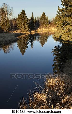 trees reflected in a country pond; thunder bay, ontario, canada View Large Photo Image Stock Image - trees reflected in a country pond; thunder bay, ontario, canada. Fotosearch