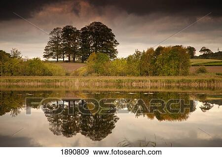 Stock Photo - trees reflected in the water; coldstream, scottish borders, scotland. Fotosearch