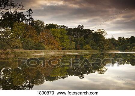 trees reflected in tranquil water; scottish borders, scotland View Large Photo Image Stock Image - trees reflected in tranquil water; scottish borders, scotland. Fotosearch