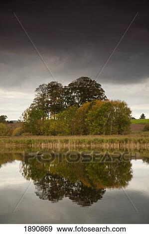 Stock Photo - trees reflected in tranquil water; scottish borders, scotland. Fotosearch