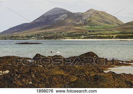 view of croagh patrick mountain from old head beach in connacht region; county mayo, ireland View Large Photo Image Stock Photograph - view of croagh patrick mountain from old head beach in connacht region; county mayo, ireland. Fotosearch