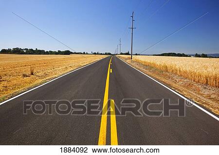 wheat fields along a road in the country in willamette valley; oregon, united states of america View Large Photo Image Stock Image - wheat fields along a road in the country in willamette valley; oregon, united states of america. Fotosearch