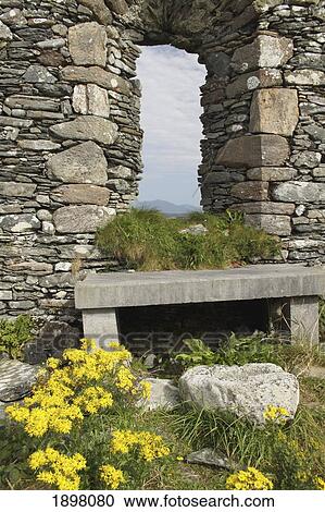 Stock Image - window frame in ruins of st. colman's abbey on inishbofin island off the coast of galway in connacht region; county galway, ireland. Fotosearch