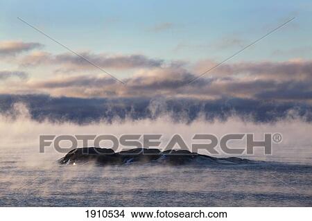 winter mist on lake superior; terrace bay, ontario, canada View Large Photo Image Picture - winter mist on lake superior; terrace bay, ontario, canada. Fotosearch