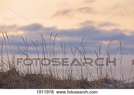 Stock Photo - winter mist on lake superior; terrace bay, ontario, canada. Fotosearch