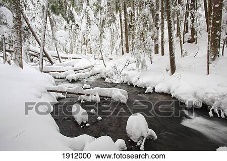 Stock Image - winter snow along still creek in mt. hood national forest; oregon, united states of america. Fotosearch