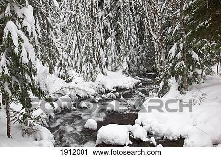 winter snow along still creek in mt. hood national forest; oregon, united states of america View Large Photo Image Stock Image - winter snow along still creek in mt. hood national forest; oregon, united states of america. Fotosearch