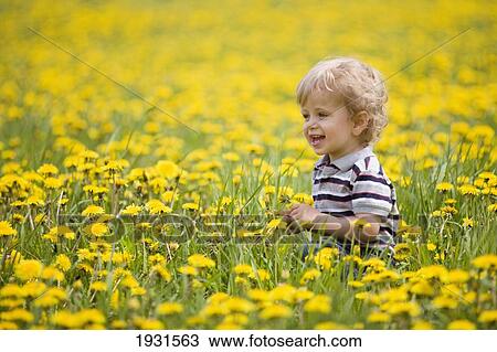 Stock Image - 18-month-old boy in dandelion field; thunder bay, ontario, canada. Fotosearch