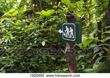 a hiking sign posted on a tree; mae hia, chiang mai province, thailand View Large Photo Image Stock Image - a hiking sign posted on a tree; mae hia, chiang mai province, thailand. Fotosearch