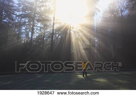 Stock Photo - a person raises their arms to the sun shining through morning fog and trees; happy valley, oregon, united states of america. Fotosearch