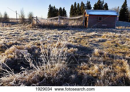 an old farmhouse and frost on the ground in parkland county; alberta, canada View Large Photo Image Picture - an old farmhouse and frost on the ground in parkland county; alberta, canada. Fotosearch