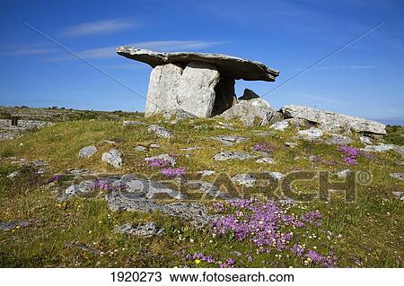 Ancient Megalithic Tomb, Poulnabrone Dolmen; Ballyvaghen, County Clare, Ireland View Large Photo Image Stock Image - Ancient Megalithic Tomb, Poulnabrone Dolmen; Ballyvaghen, County Clare, Ireland. Fotosearch