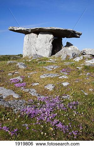 Ancient Poulnabrone Dolmen; County Clare, Ireland View Large Photo Image Stock Photograph - Ancient Poulnabrone Dolmen; County Clare, Ireland. Fotosearch