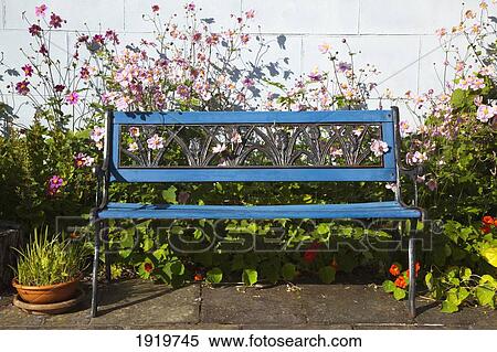 Blue Garden Bench; Roundstone, County Galway, Ireland View Large Photo Image Stock Photography - Blue Garden Bench; Roundstone, County Galway, Ireland. Fotosearch