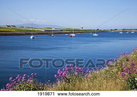 Boats In Harbour; Rosses Point, County Sligo, Ireland View Large Photo Image Stock Image - Boats In Harbour; Rosses Point, County Sligo, Ireland. Fotosearch