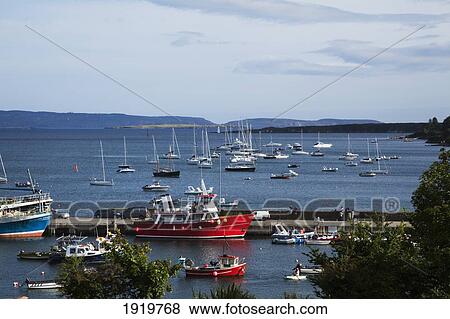 Boats In The Harbour; Schull, County Cork, Ireland View Large Photo Image Stock Photo - Boats In The Harbour; Schull, County Cork, Ireland. Fotosearch