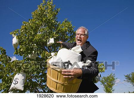businessman harvesting money from a money tree View Large Photo Image Stock Image - businessman harvesting money from a money tree. Fotosearch