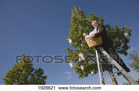 Stock Image - businessman harvesting money from a money tree. Fotosearch