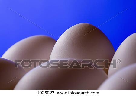 Stock Photo - close-up eggs against blue background. Fotosearch