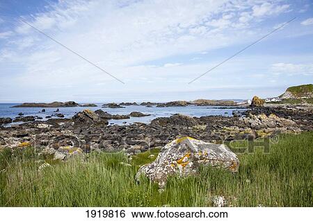 Coast Of Harbour; Ballintoy, County Antrim, Northern Ireland View Large Photo Image Stock Photograph - Coast Of Harbour; Ballintoy, County Antrim, Northern Ireland. Fotosearch