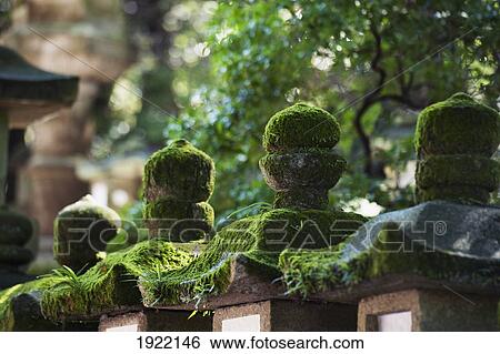 detail of kasuga grand shrine; nara, japan View Large Photo Image Stock Photograph - detail of kasuga grand shrine; nara, japan. Fotosearch