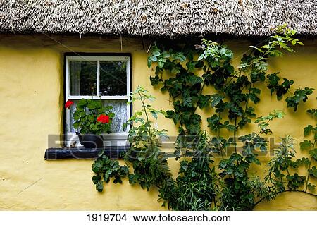 Exterior Of Traditional Irish Thatched Cottage; Bunratty Folk Park, County Clare, Ireland View Large Photo Image Picture - Exterior Of Traditional Irish Thatched Cottage; Bunratty Folk Park, County Clare, Ireland. Fotosearch
