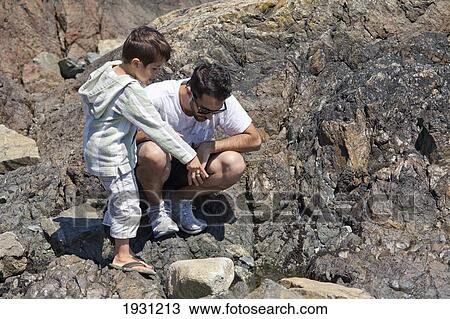Stock Image - father and son exploring shoreline along bc coast; british columbia, canada. Fotosearch