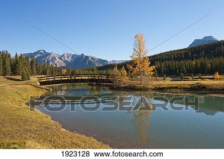 Stock Photo - footbridge at cascade ponds in banff national park; banff, alberta, canada. Fotosearch