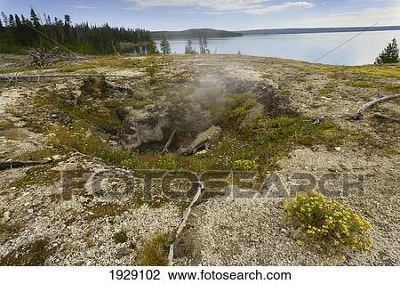 Stock Image - fumarole near the edge of yellowstone lake lets off light steam; wyoming, united states of america. Fotosearch