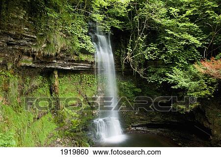 Glencar Waterfall; County Leitrim, Ireland View Large Photo Image Stock Image - Glencar Waterfall; County Leitrim, Ireland. Fotosearch