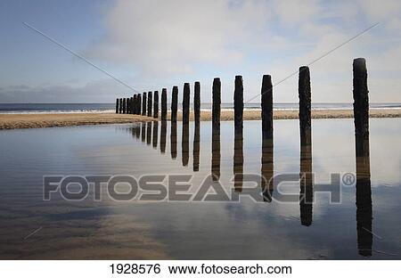 groynes; blyth, northumberland, england View Large Photo Image Stock Photograph - groynes; blyth, northumberland, england. Fotosearch