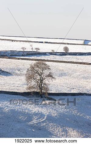 high angle view of winter landscape; yorkshire dales, england View Large Photo Image Stock Photography - high angle view of winter landscape; yorkshire dales, england. Fotosearch