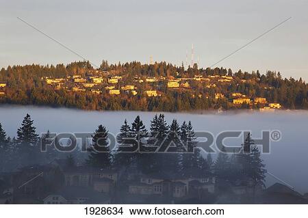houses on a hill through the morning fog; happy valley, oregon, united states of america View Large Photo Image Picture - houses on a hill through the morning fog; happy valley, oregon, united states of america. Fotosearch