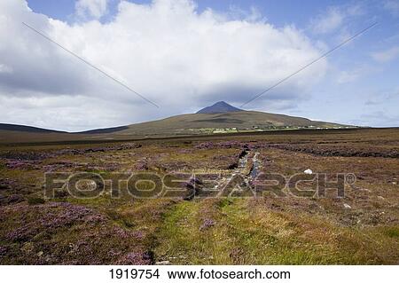 Picture - Irish Bog; Achill Island, County Mayo, Ireland. Fotosearch