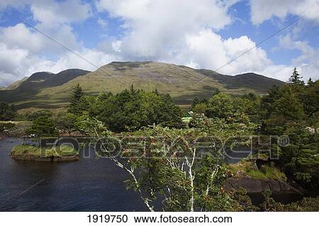 Killary Harbour Scenic; Delphi, County Mayo, Ireland View Large Photo Image Stock Image - Killary Harbour Scenic; Delphi, County Mayo, Ireland. Fotosearch