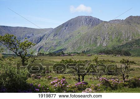 Landscape Of Healy Pass; Lauragh, County Kerry, Ireland View Large Photo Image Stock Photo - Landscape Of Healy Pass; Lauragh, County Kerry, Ireland. Fotosearch